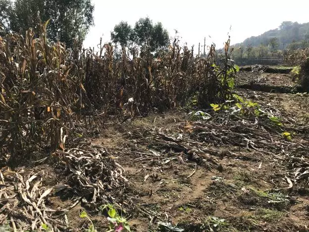 安阳林虑山风景区图片