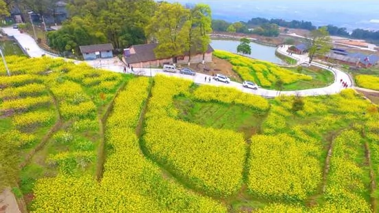 西山坪风景区图片