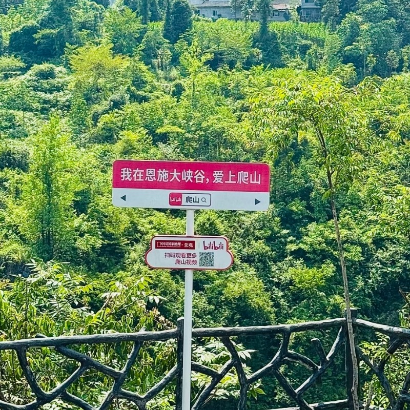 【乐享】恩施奥山雅阁酒店行政套房两天一晚+恩施大峡谷