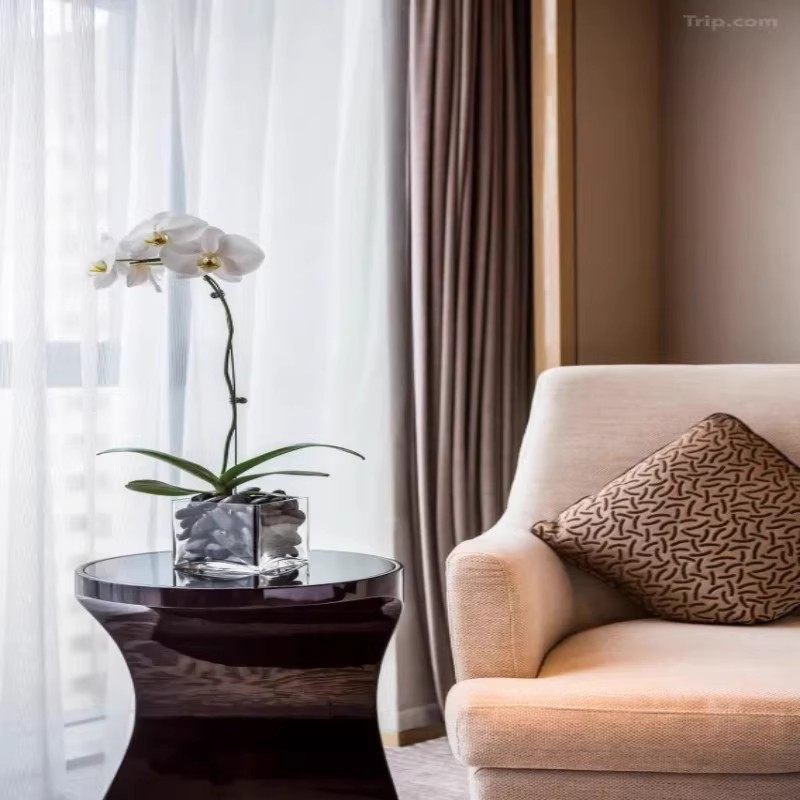 元旦春节假期可定 山东潍坊自由行1-5日 潍坊富力铂尔曼酒店3晚4日 可选其他酒店