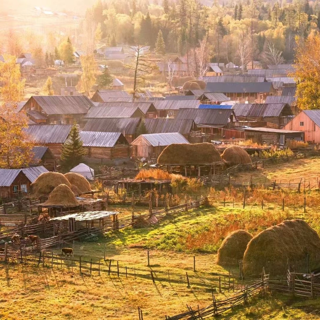 新疆旅游 北疆阿勒泰5天4晚私家团 禾木喀纳斯乌尔禾【景区美宿】 - 定制游预订