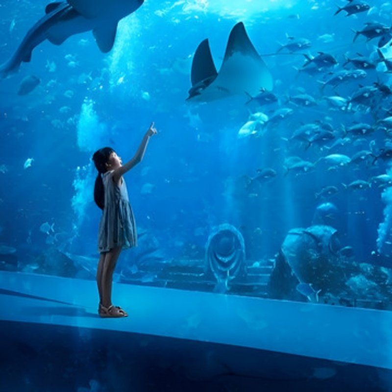 4天3晚三亚私家团住智选假日+水族馆+专属用车+一次被宠坏的旅行 - 定制游预订