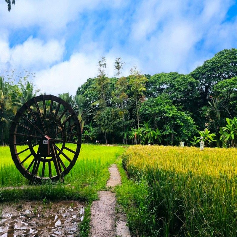 新疆自由行 百世昌欢居酒店+红山公园2天1晚可定元旦春节