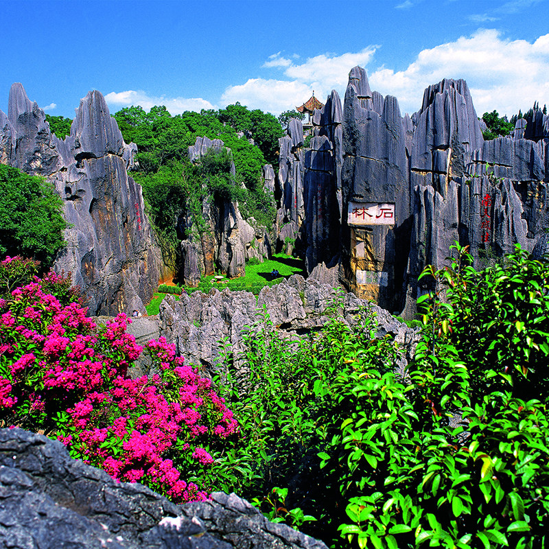 昆明周边 石林+滇池纯玩一日游 -可选15人团-二环内接纯玩-晚出发