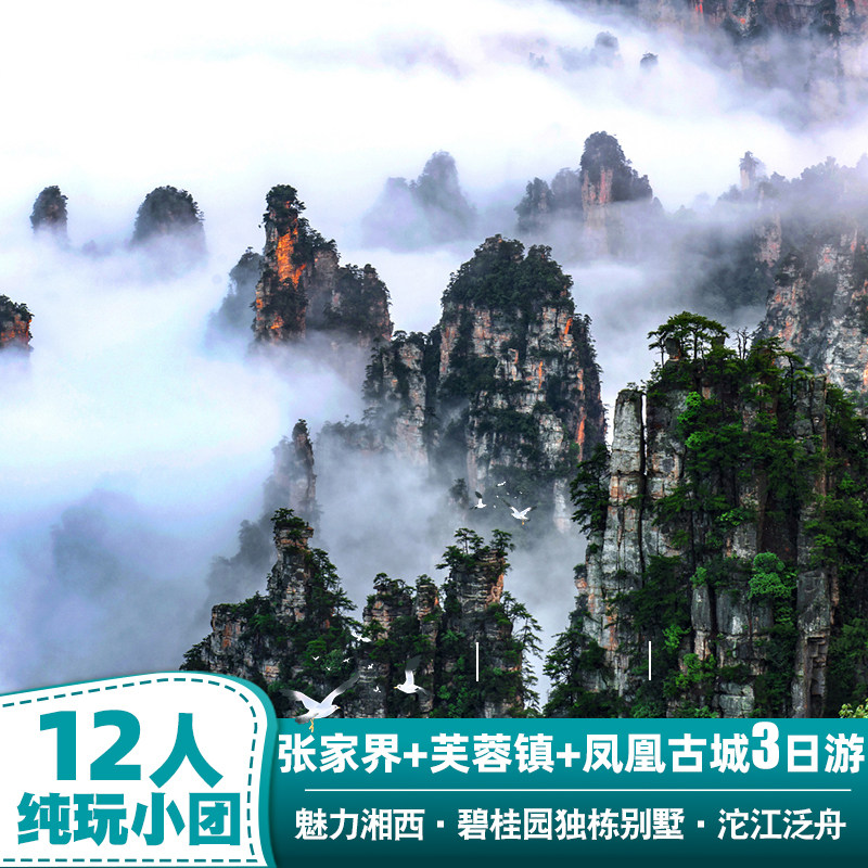 【12人纯玩小团】张家界凤凰旅游3天五星别墅江景房天门山跟团游 - 定制游预订
