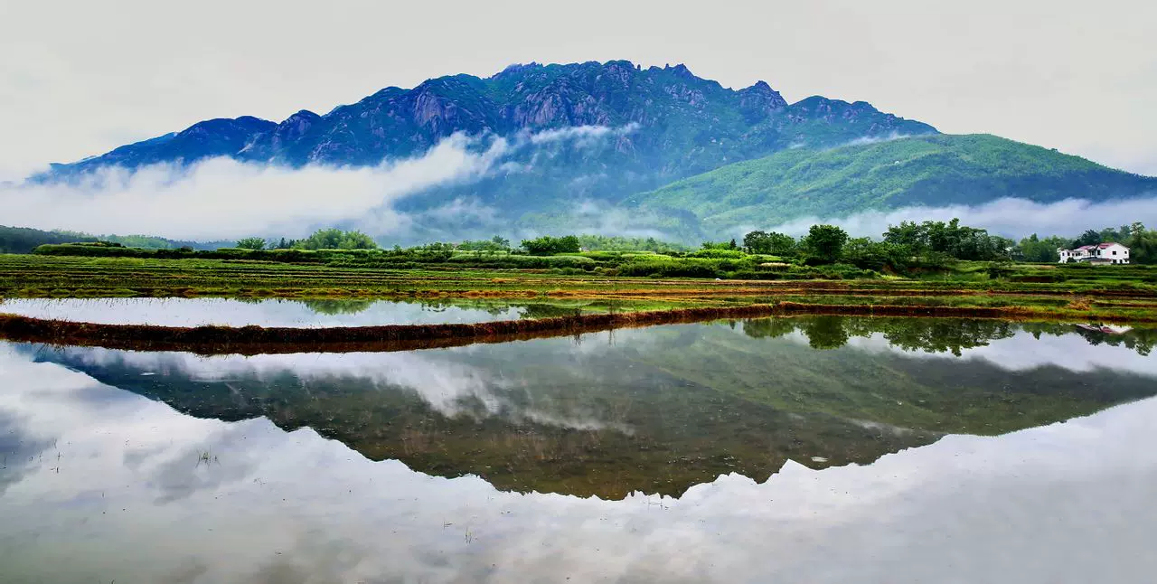 莲峰云海图片