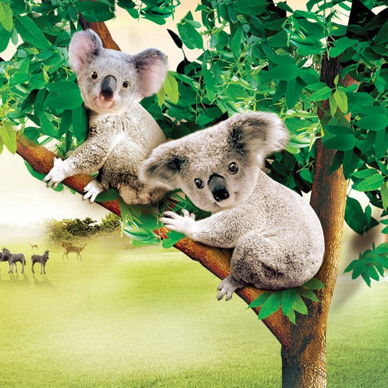 七色光广州长隆自由行吃住玩套餐欢乐世界动物园水上乐园大马戏