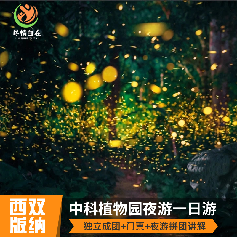 云南中科院西双版纳热带植物园+夜游萤火虫包车纯玩一日游 - 定制游预订
