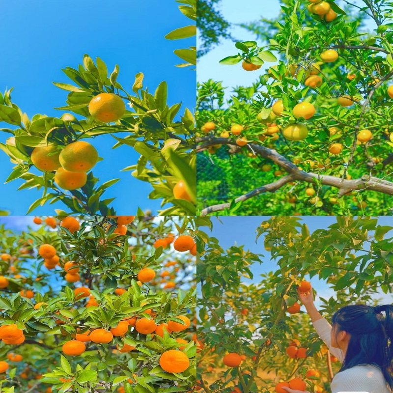 遇见绍兴▏新昌自由行鲁迅故里书圣故里三味书屋入住泊美湾酒店