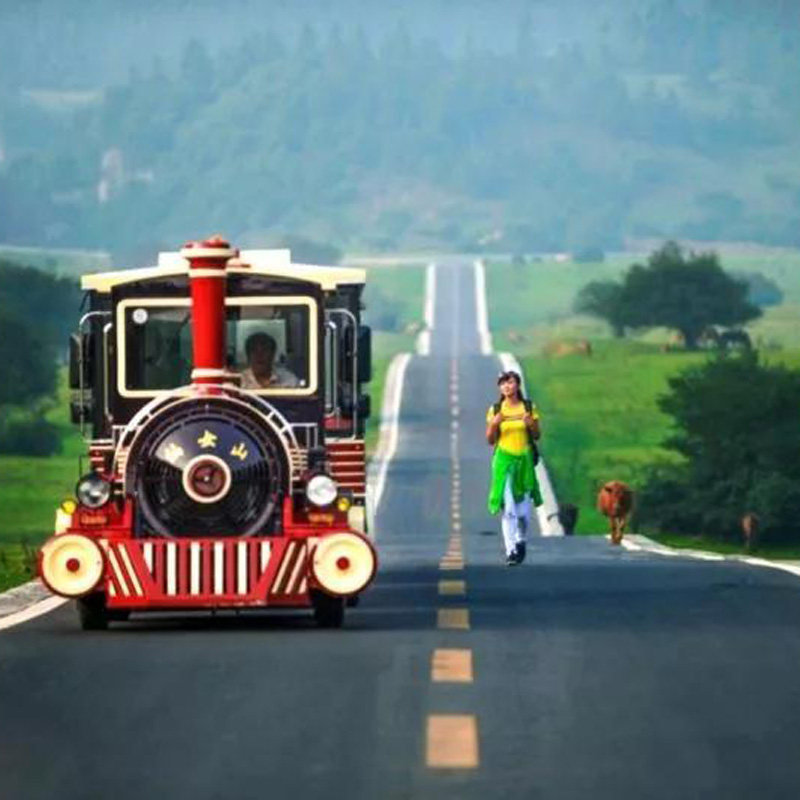 【8人小团】重庆2天1晚二日跟团游打卡天生三桥仙女山长江索道 - 定制游预订