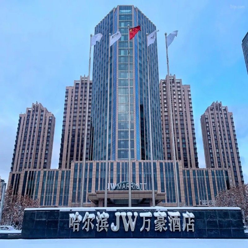 哈尔滨JW万豪酒店3天2晚+东北虎林园马戏城门票 - 定制游预订