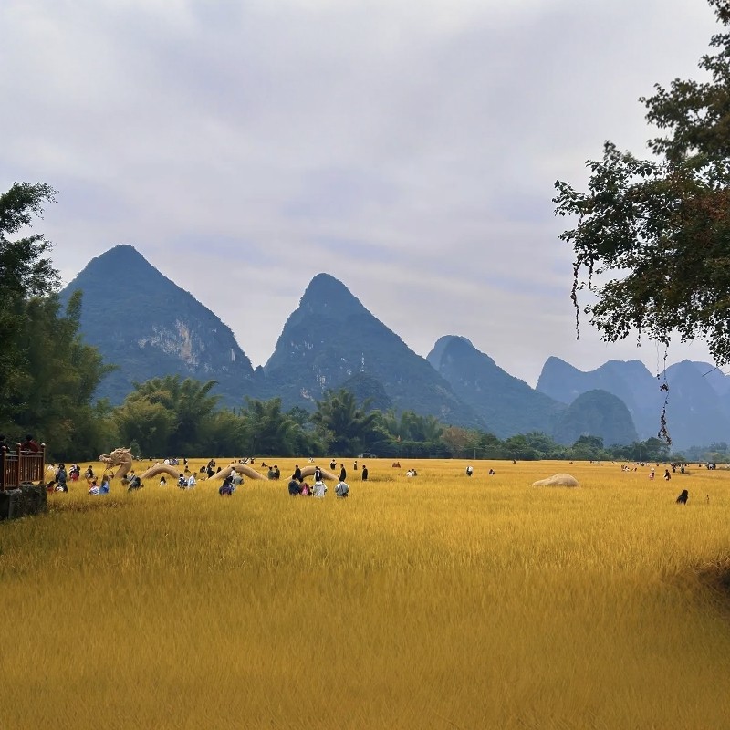 【乐享】桂林华美达酒店大床房2天1晚自由行+漓江+阳朔西街