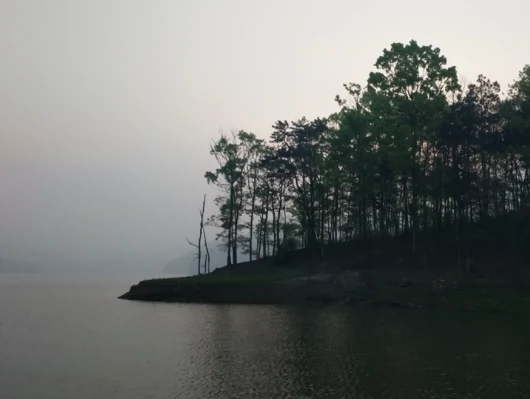 花亭湖湿地图片