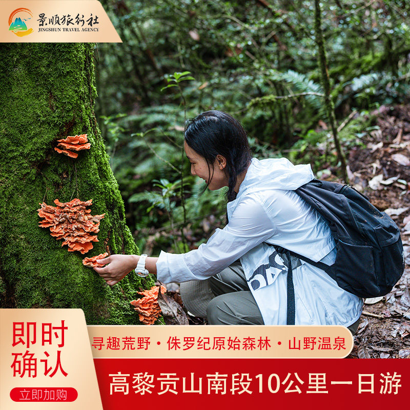 腾冲高黎贡山阿祖姆原始森林9公里徒步一日游 侏罗纪翡翠瀑布温泉 - 定制游预订