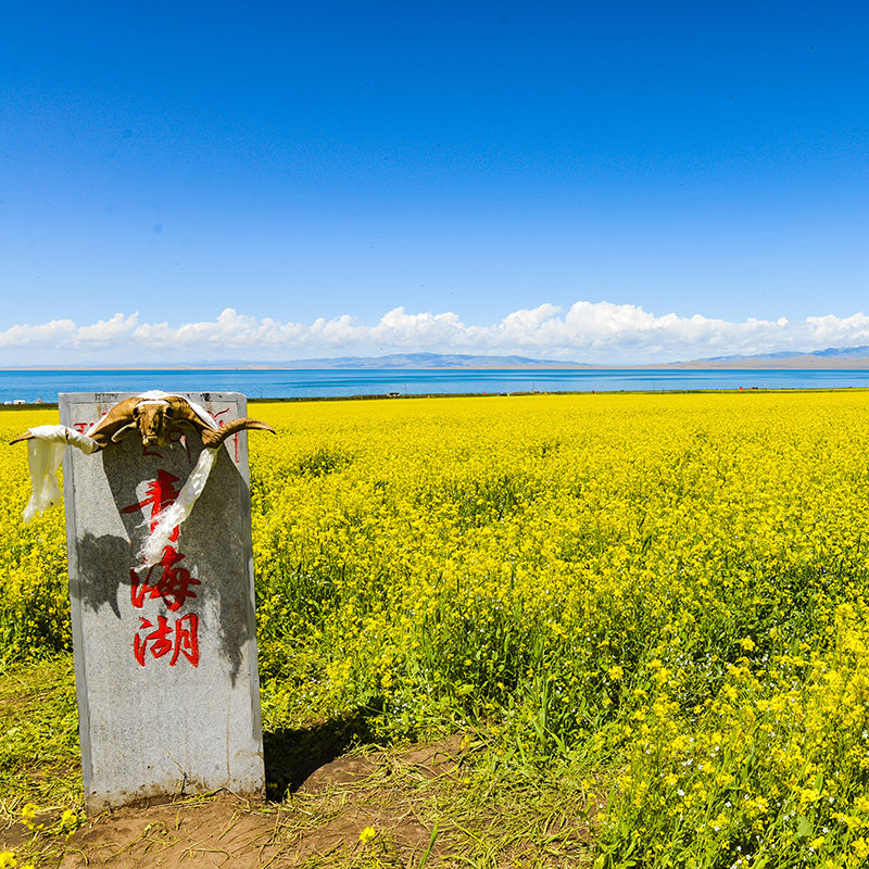 西进敦出|青海敦煌旅游5日游8人小团青海湖茶卡翡翠鸣沙山赠航拍 - 定制游预订