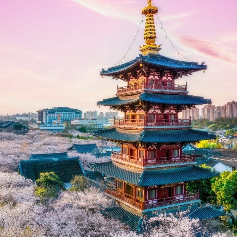 杭州出发 苏州拙政园/狮子林+寒山寺+七里山塘街纯玩一日游无购物