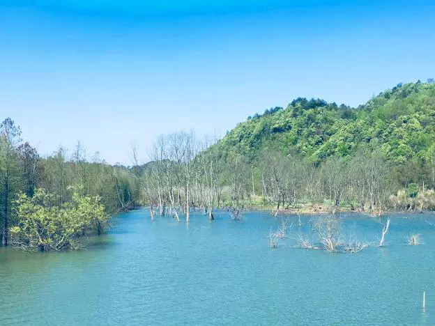 仙人谷风景区