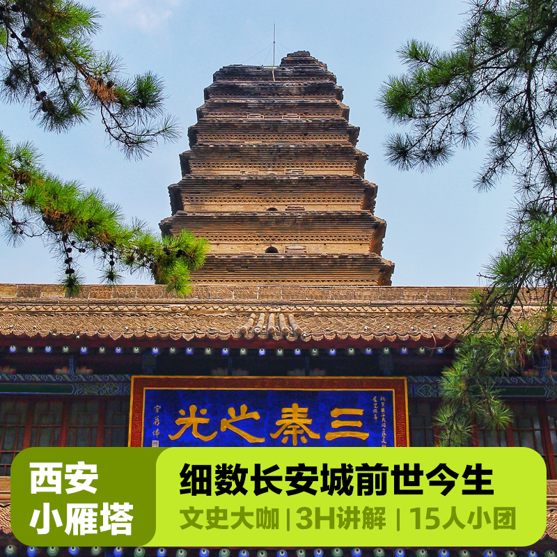 大咖说&bikego西安博物院小雁塔讲解3小时含门票15人小团跟团游 - 定制游预订