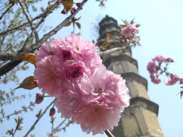 本觉寺古窑遗址图片