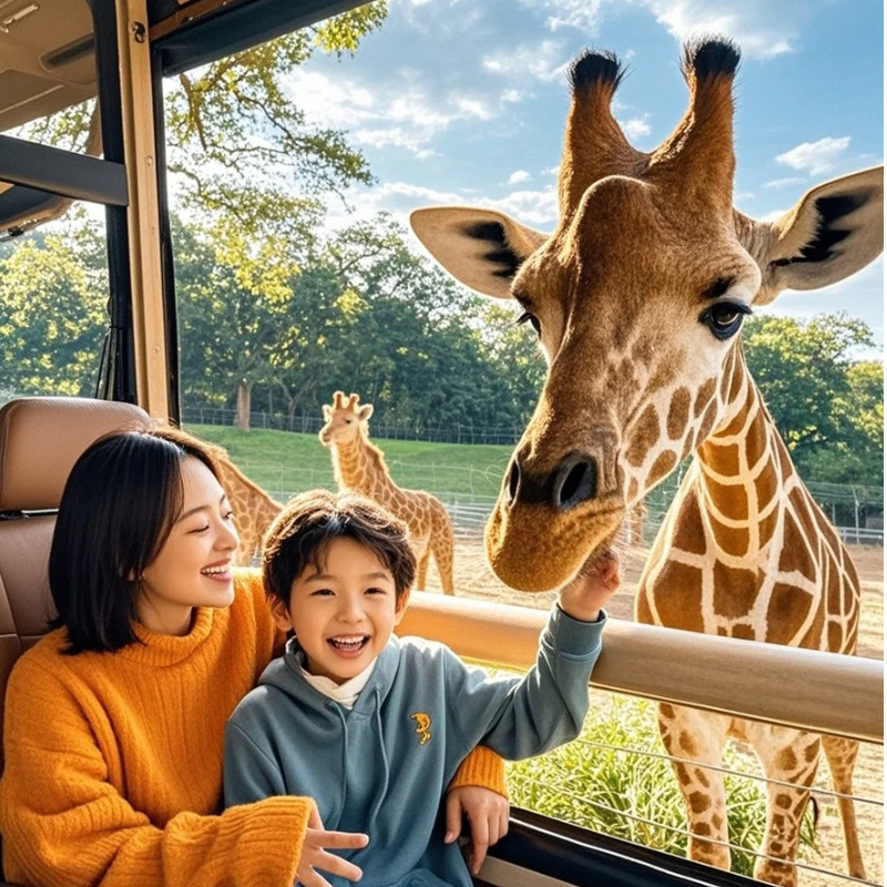 【亲子游】上海万达悦华酒店3天2晚含早餐+野生动物园+国际马戏+投喂车+水鱼探秘游船 - 定制游预订