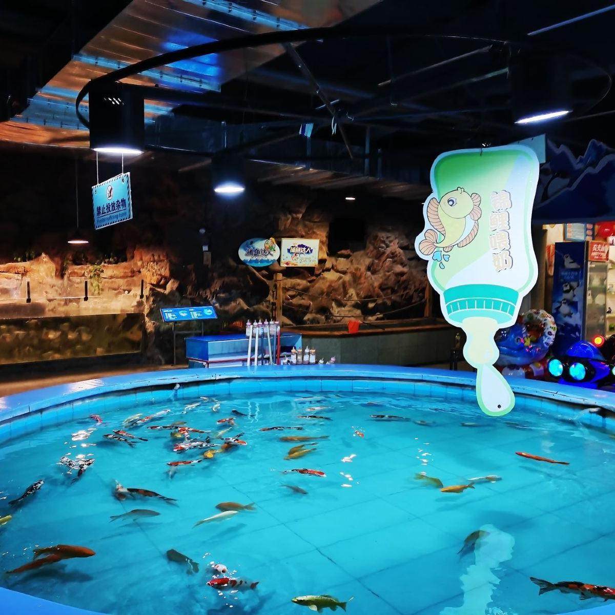 洛阳华茂春松酒店 高级天梁·大床5天4晚+龙门海洋馆门票