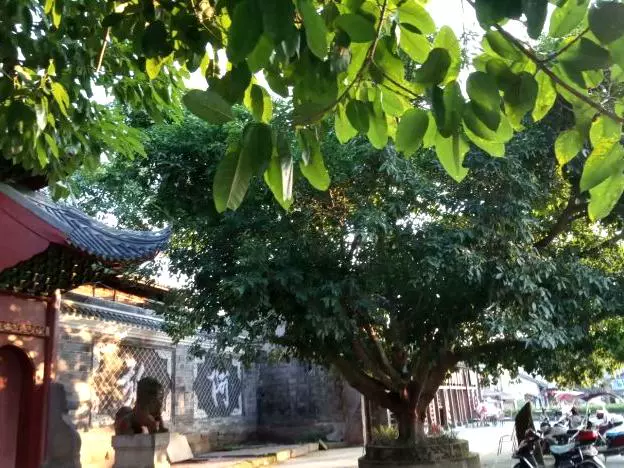 李庄古镇景区-慧光寺图片