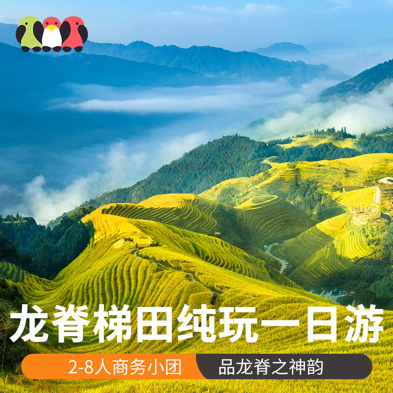 【8人商务小团】桂林龙脊梯田纯玩一日游 金坑梯田金坑大寨跟团游 - 定制游预订
