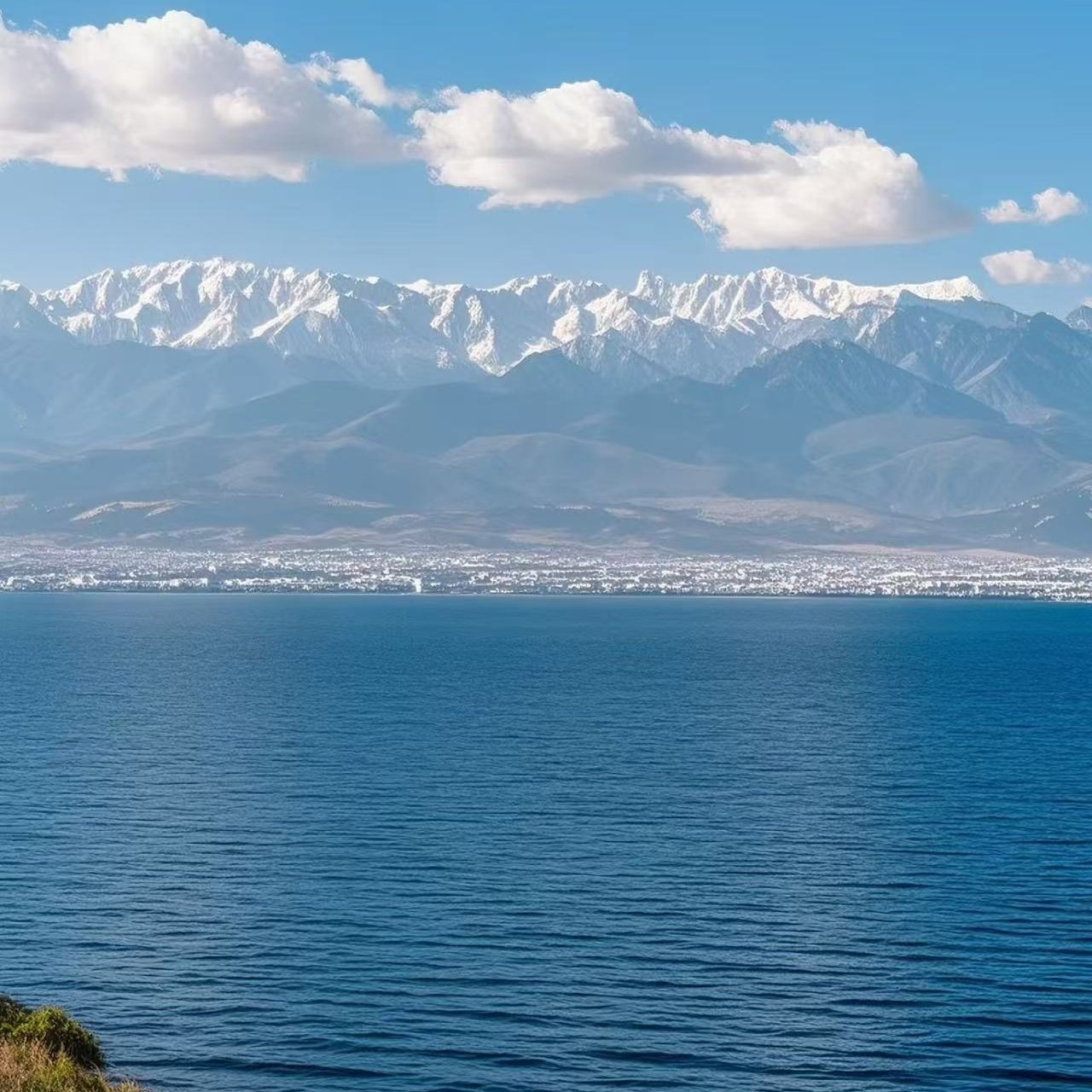 腾酒店(昆明穿金路世博园店)住宿+云南野生动物园成人门票