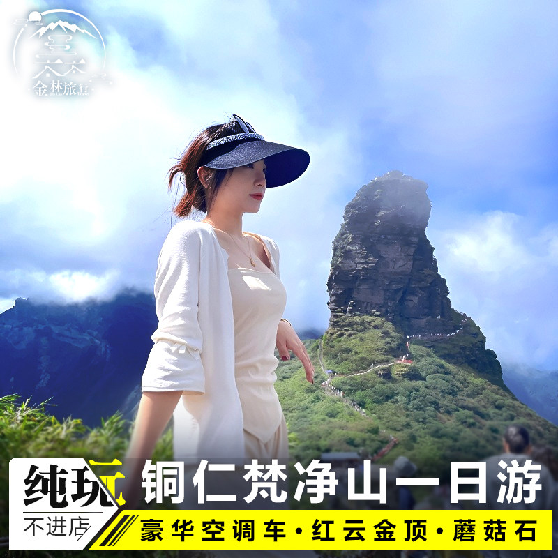 飞猪旅行贵州旅游纯玩1日游铜仁梵净山蘑菇石红云新金顶贵阳跟团 - 定制游预订