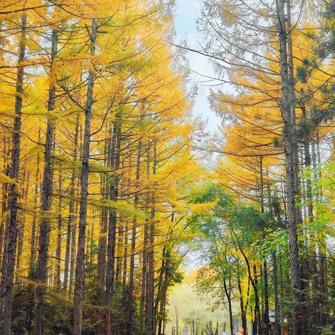 万科松花湖新故事套房酒店住宿+松花湖度假区成人门票