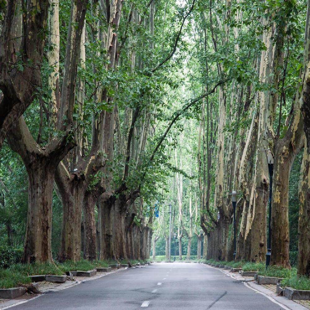 【遇见金陵】南京3天2晚私家团 - 定制游预订