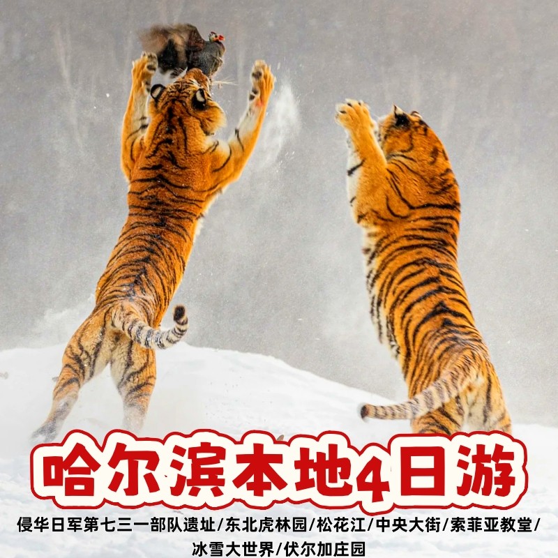 哈尔滨4日游」伏尔加庄园/冰雪大世界/东北虎林园/七三一部队遗址 - 定制游预订