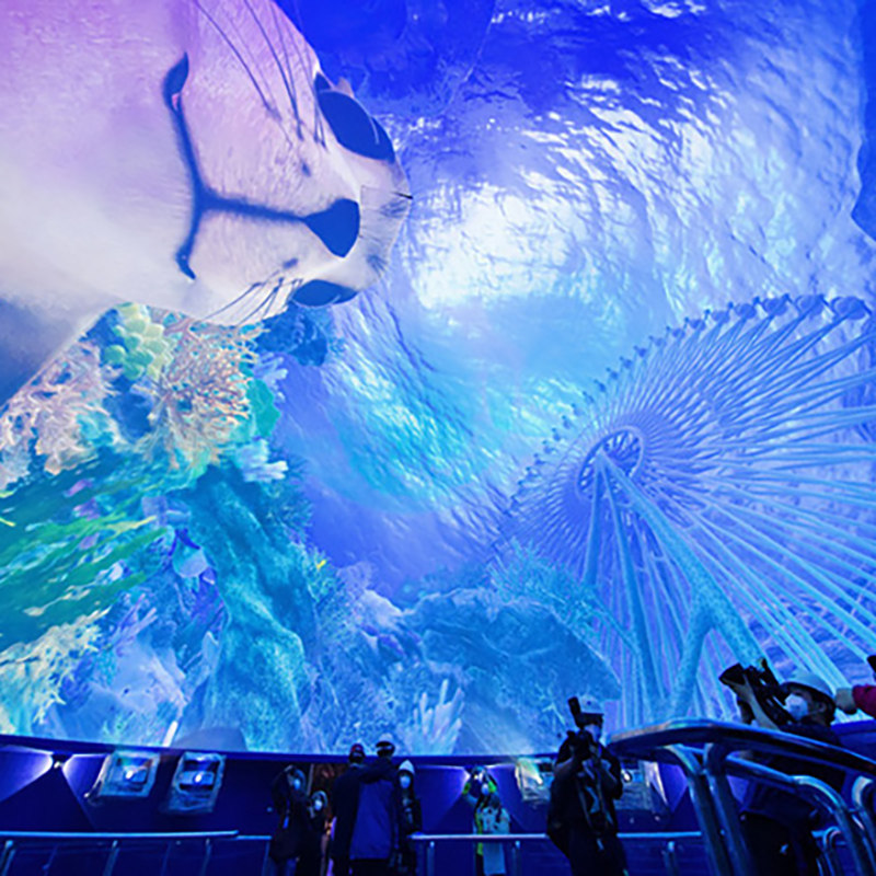 【乐享】亲子游!南昌九龙湖畔融创文旅城品牌酒店家庭四人间2天1晚+南昌融创海世界