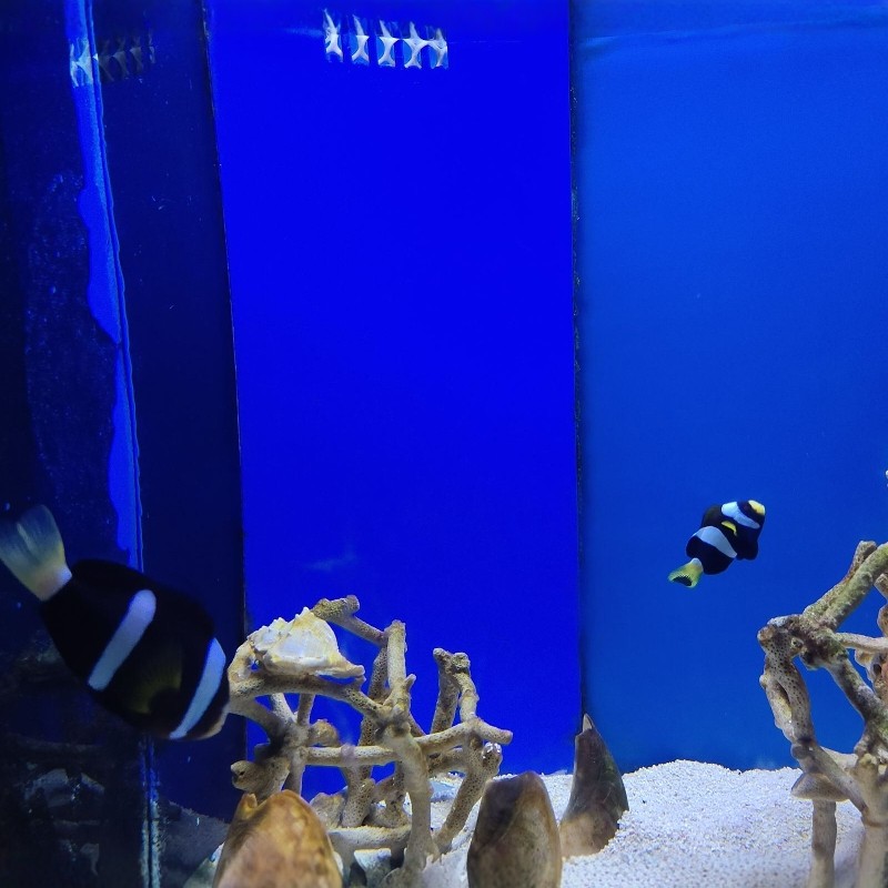 【寒假早鸟】兰州西客站温德姆花园酒店+兰州极地海洋世界+兰州黄河游轮3天2晚自由行