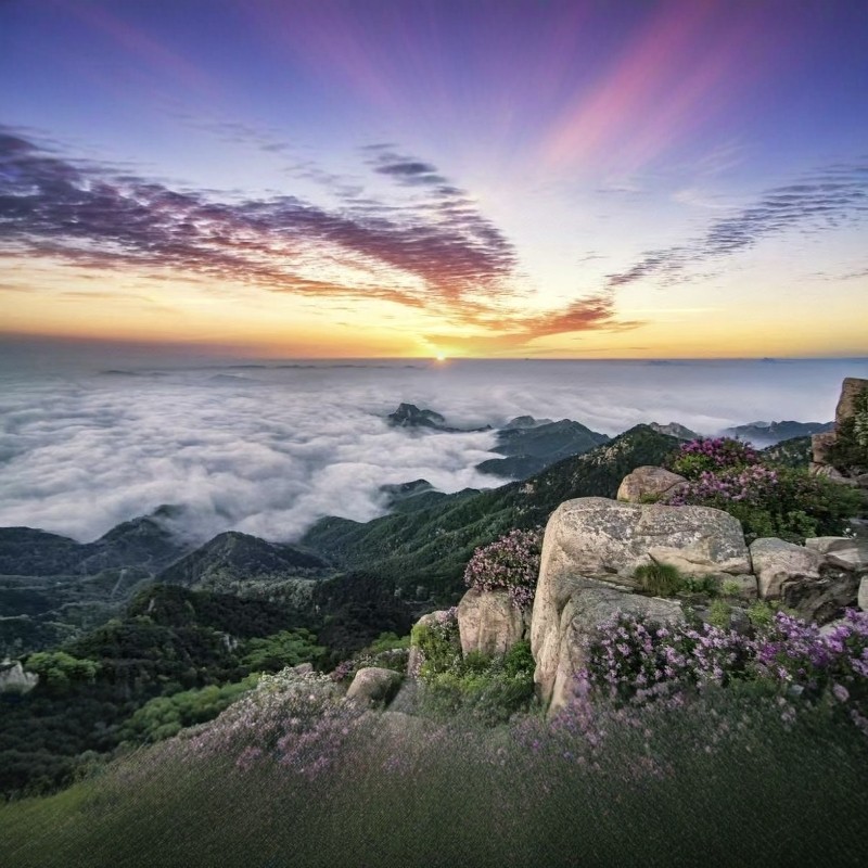 【乐享】泰安高端品牌连锁酒店2天1晚+泰山