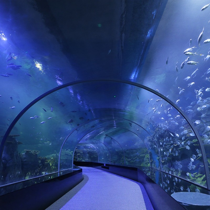 【宿万丽周末不加价】3天2晚南宁万丽酒店+青秀山/南宁动物园/南宁极地海洋世界景随选