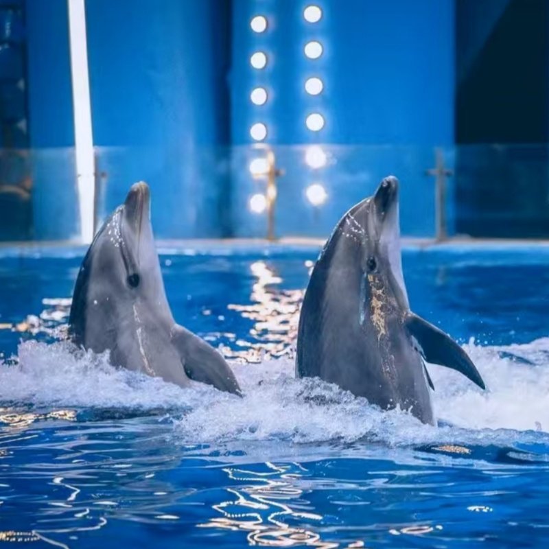 可定制化旅行南昌融创海世界+景点周边品牌酒店