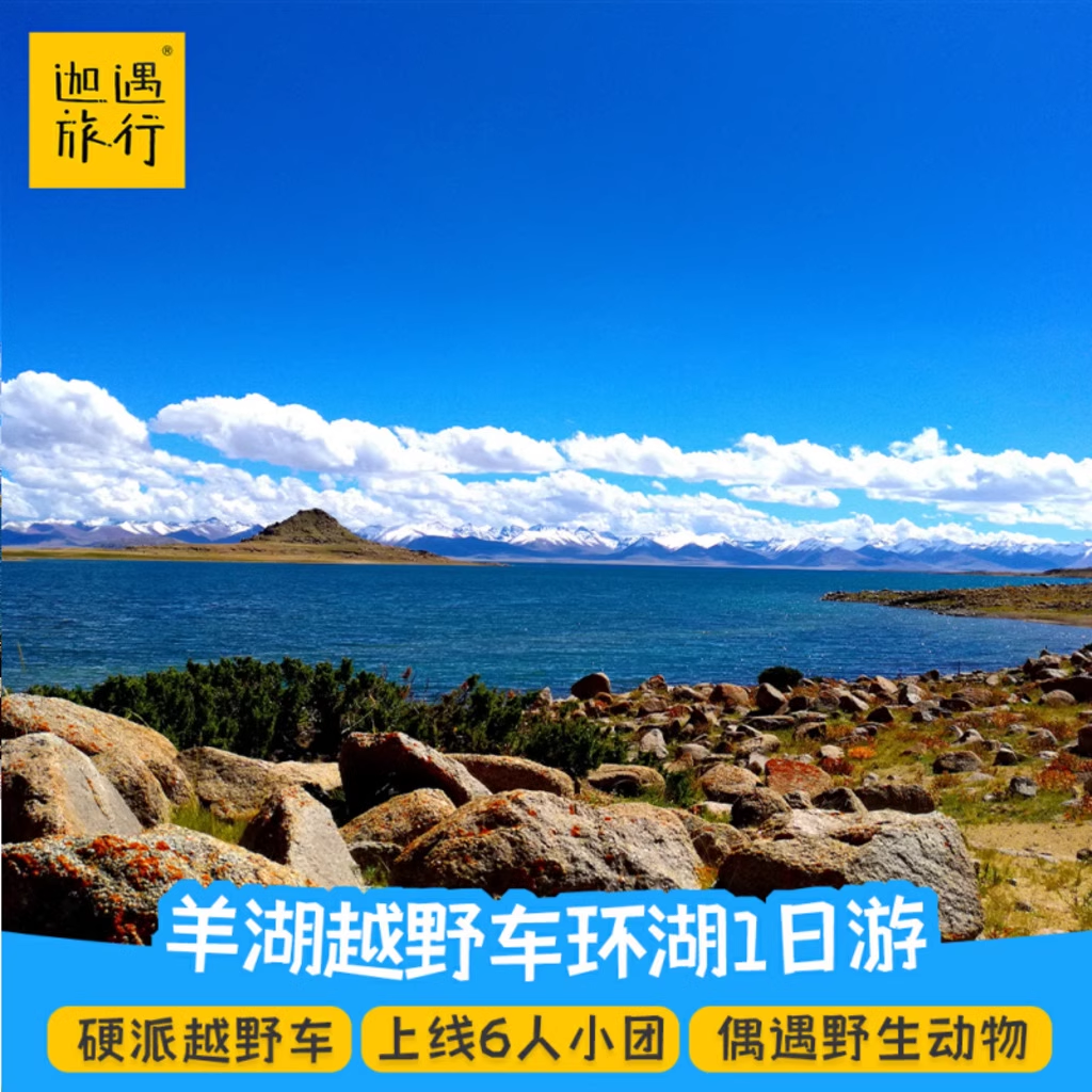 【越野环羊湖】西藏旅游拼车羊卓雍措环湖日托寺千岛湖羊湖1日游 - 定制游预订