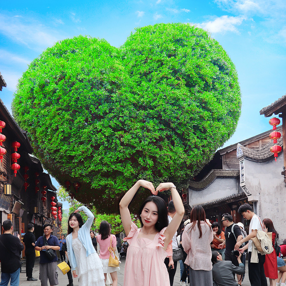 【16人轻奢小团】福州市区一日游 福州三环内上门接送/2人起订 - 定制游预订