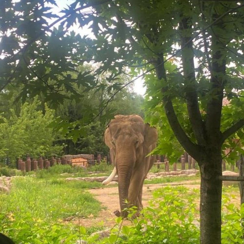 辽宁政协会馆1晚+关东影视城门票