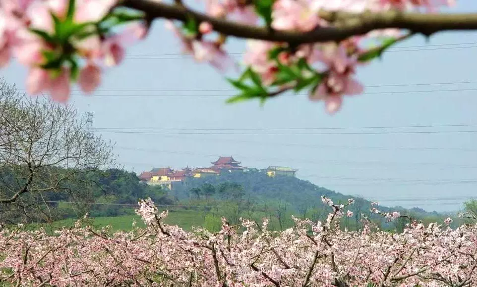 斗山禅寺图片