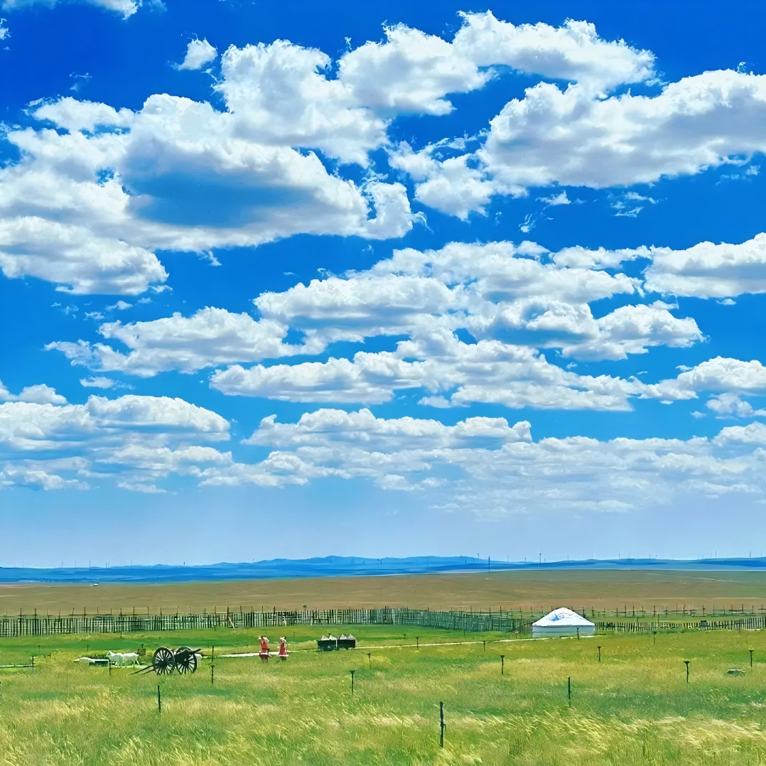 齐齐哈尔美希酒店住宿+扎龙生态圈成人门票