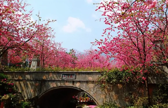 大理山水间图片