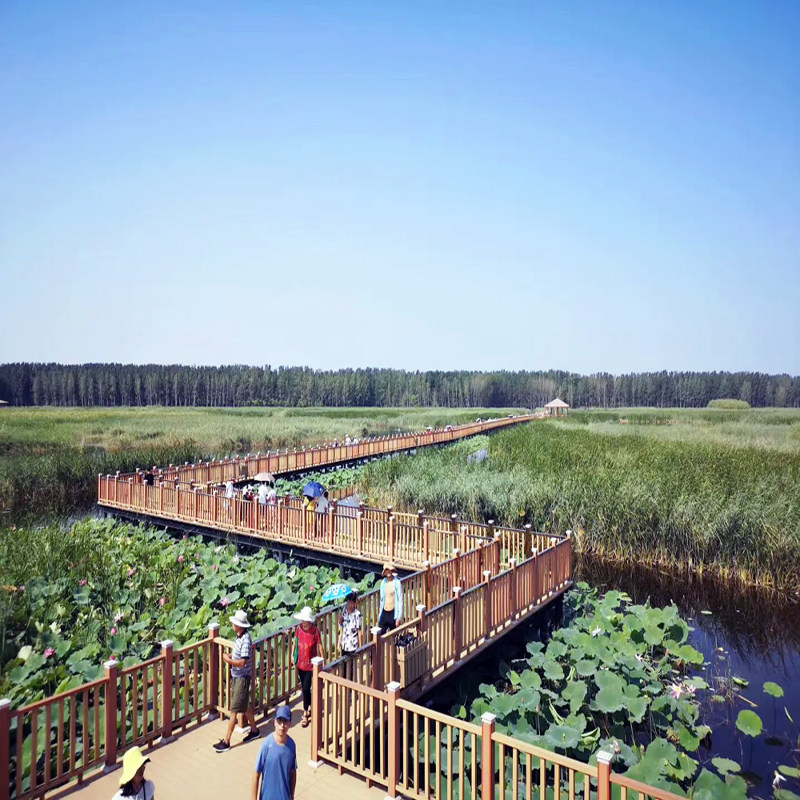 元旦春节假期可定 保定自由行1-5日 保定高新区希尔顿欢朋酒店 4天3晚 可选酒店