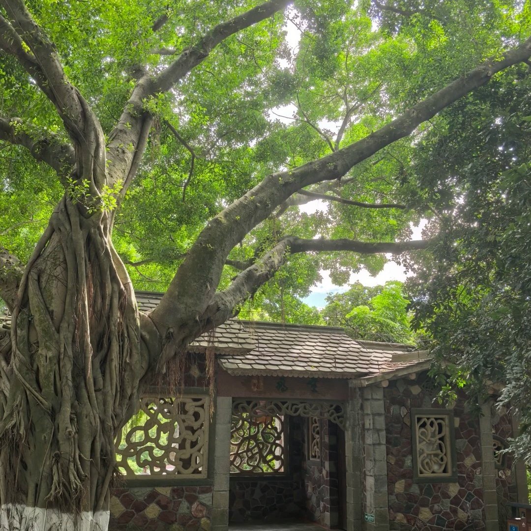 全季酒店(泉州火车站店)住宿+清源山成人门票