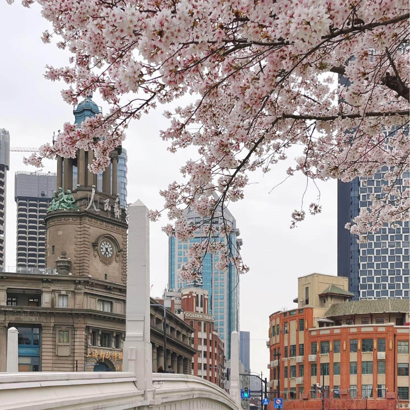 独立成团|上海行走苏州河Citywalk+资深文化向导私享讲解 - 定制游预订