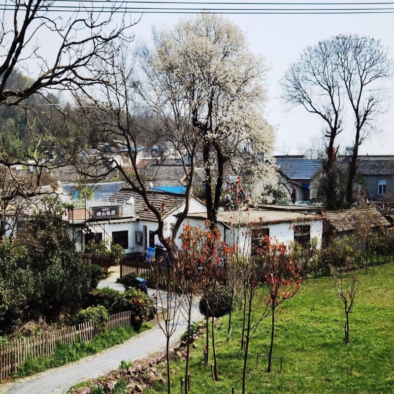 【元旦春节假期可定】河北唐山 自由行 唐山饭店 酒店+门票 4天3晚 可选酒店 - 定制游预订