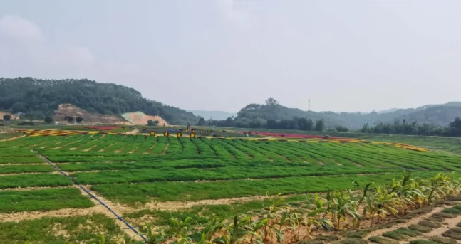 广东花川谷生态旅游度假区图片