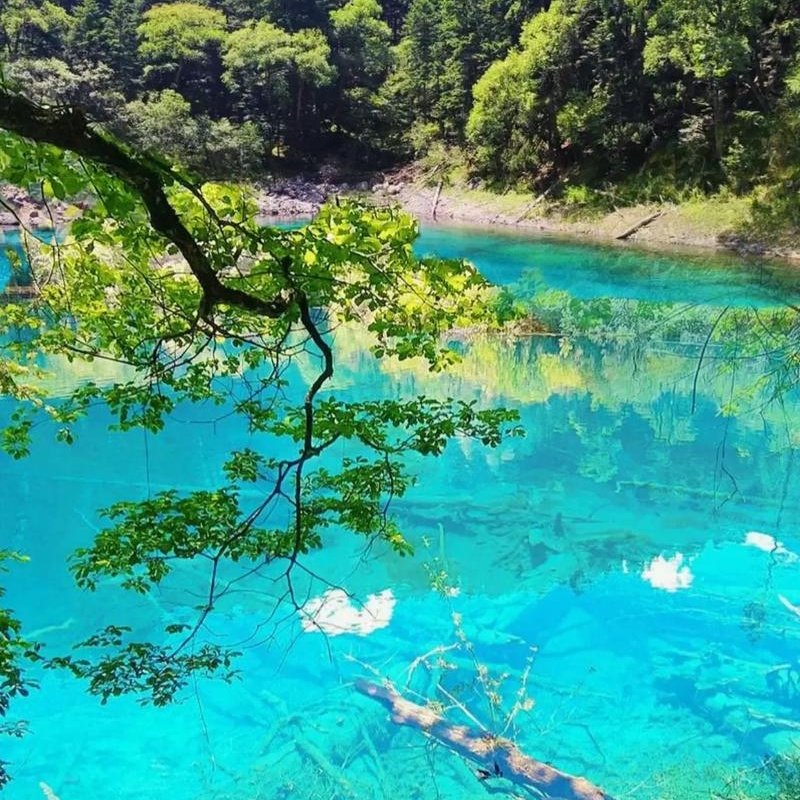 九寨沟戴斯温德姆酒店住宿+九寨沟成人门票