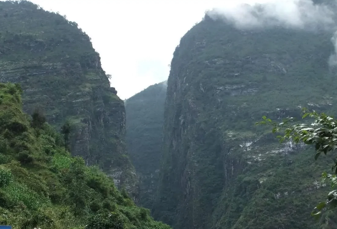 苍山自然保护区图片